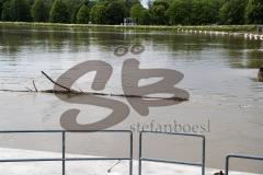 - Donau Hochwasser 2024  - Überschwemmung - Staustufe - Treibgut - Foto: Markus Banai