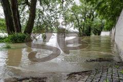 - Donau Hochwasser 2024  - Überschwemmung - Foto: Markus Banai