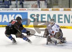 DEL - ERC Ingolstadt - Iserlohn Roosters - Dominic Walsh