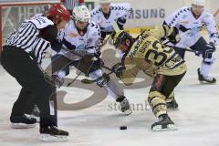 DEL - ERC Ingolstadt - Hamburg Freezers - Björn Barta (33) Bully