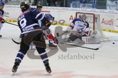 DEL - Eishockey - ERC Ingolstadt - Adler Mannheim - Brandon Buck (ERC 9) knapp vorbei am Tor