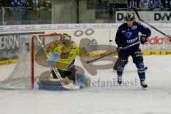 DEL - Eishockey - ERC Ingolstadt - Krefeld Pinguine - Saison 2015/2016 - Martin Davidek (#12 ERC Ingolstadt) - Klein Patrick (#29 Krefeld) - Foto: Jürgen Meyer