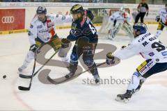 DEL - Eishockey - ERC Ingolstadt - Eisbären Berlin - Saison 2015/2016 - Jared Ross (#42 ERC Ingolstadt) - Baxmann Jens (#29 Berlin) - Foto: Jürgen Meyer