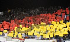 DEB - Deutschland - Tschechien - Die Fans in Deutschlandfarben