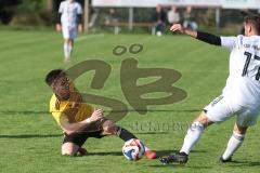 Kreisliga - Saison 2025/26- TSV Lichtenau - TSV Hohenwart - Mark Steingräber gelb Lichtenau - Maximilian Mitterhuber  weiss Hohenwart - Foto: Meyer Jürgen