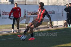 Bayernliga Nord - Saison 2024/25 - FC Ingolstadt 04 II - SC Eltersdorf - Jason Osei Tutu (Nr.11 - FCI U21) - XXXXX - Foto: Meyer Jürgen