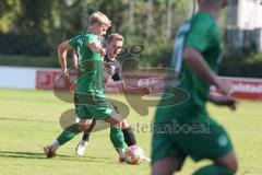 Landesliga - Saison 2024/25 - SV Manching - TSV Schwabmünchen - Rainer Meisinger (Nr.8 - SV Manching) - Uhde Maik #31 schwarz Schwabmünchen
 - Foto: Meyer Jürgen