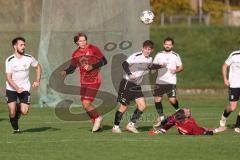 Kreisklasse - Saison 2024/25- SV Zuchering - FC Wackerstein/Dünzing - Philip Delanowski rot Zuchering - Jonas Lechner weiss Wackerstein - Ahmed Metinov rot  Zuchering - Foto: Meyer Jürgen