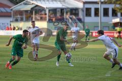 Landesliga - Saison 2024/25 - SV Manching - SV Cosmos Aystetten - Fabian Neumayer (Nr.9 - SV Manching) mitte - Cedric Sengl (Nr.16 - SV Manching) links - Tobias Ullmann weiss Aystetten - XXXXX - Foto: Meyer Jürgen