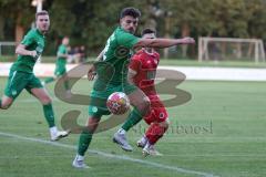 Landesliga - Saison 2024/25 - SV Manching - FSV Pfaffenhofen - Michael Senger rot Paffenhofen - Daniel Spies (Nr.22 - SV Manching) - Foto: Meyer Jürgen