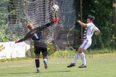 Kreisliga - Saison 2024/25- SV Kasing - TSV Kösching-  - Sanser Calik weiss Kasing - Michael Zimmermann Torwart Kösching - Foto: Meyer Jürgen