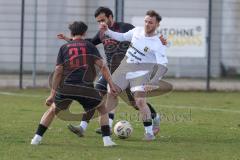 Bayernliga Nord - Saison 2025/26 - FC Ingolstadt 04 II - SpVgg Bayern Hof - Muhammed Atak (Nr.2 - FC Ingolstadt II) - Leon Haas (Nr.21 - FC Ingolstadt II) - Johann Saalfrank weiss Bayern Hof - Foto: Meyer Jürgen