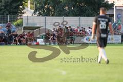 Toto - Pokal - Saison 2024/25 - TSV Lohr - FC Ingolstadt 04 -  mitgereiste Fans -  - Spielerbank - Foto: Meyer Jürgen