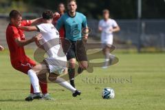 Bayernliga Nord - Saison 2024/25 - FC Ingolstadt 04 II - ASV Neumarkt - Majewski Philipp rot Neumarkt  - Davide Sekulovic (Nr.7 - FCI U21) - Foto: Meyer Jürgen