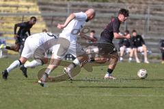 Bayernliga Nord - Saison 2025/26 - FC Ingolstadt 04 II - SpVgg Bayern Hof - Timo Hengmith  (Nr.6 - FC Ingolstadt II))- Johannes Hamann weiss Bayern Hof  - Foto: Meyer Jürgen
