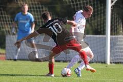 Kreisklasse - Saison 2024/25- TSV Gaimersheim II - SV Buxheim-  - Franz Reinwald schwarz Gaimersheim - Michael Iberl weiss Buxheim - Foto: Meyer Jürgen