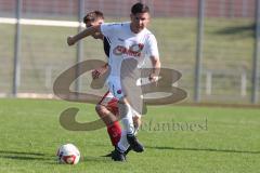 Kreisklasse - Saison 2024/25- TSV Gaimersheim II - SV Buxheim-  - Maximilian Crusius weiss Buxheim - XXXXX - Foto: Meyer Jürgen