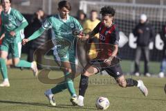 *** A-Junioren Bundesliga  - Saison 2025/26 - FC Ingolstadt 04 - SpVgg Greuther Fürth - Polat Arel schwarz FCI - Pusback Tim grün Fürth - Foto: Meyer Jürgen