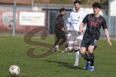 Bayernliga Nord - Saison 2025/26 - FC Ingolstadt 04 II - SpVgg Bayern Hof - Damian Coric (Nr.17 - FC Ingolstadt II) - XXXXX - Foto: Meyer Jürgen
