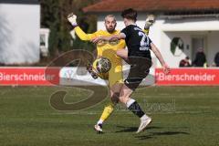 Landesliga - Saison 2025/26 - SV Manching - TSV Schwabmünchen - Torwart Thomas Obermeier (Nr.1 - SV Manching) - Gumpinger Richard schwarz Schwabmünchen - Foto: Meyer Jürgen