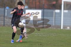 Bayernliga Nord - Saison 2025/26 - FC Ingolstadt 04 II - SpVgg Bayern Hof - Damian  Coric (Nr.17 - FC Ingolstadt II) - Tim Scherbaum weiss Bayern Hof  - Foto: Meyer Jürgen