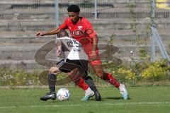 Bayernliga Nord - Saison 2023/2024 - FC Ingolstadt 04 - FC Coburg - David Udogu rot FCI - Adrian Guhling weiss Coburg - Foto: Meyer Jürgen