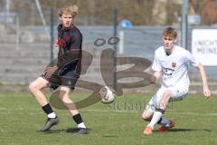 Bayernliga Nord - Saison 2025/26 - FC Ingolstadt 04 II - SpVgg Bayern Hof - Patrick Bachmann (Nr.8 - FC Ingolstadt II) - Tim Scherbaum weiss Bayern Hof  - Foto: Meyer Jürgen
