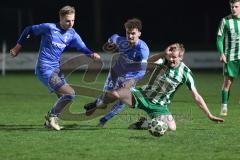 Landesliga - Saison 2025/26 - SV Manching - FV Illertissen II - Rainer Meisinger (Nr.8 - SV Manching) - Sönmez Eray blau Illertissen  #16 - Bachthaler Luca blau Illertissen  #22 - Foto: Meyer Jürgen