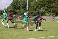 Bayernliga Nord - Saison 2024/25 - FC Ingolstadt 04 II - SV Fortuna Regensburg - XXXXX - XXXXX - Foto: Meyer Jürgen