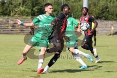 Bayernliga Nord - Saison 2024/25 - FC Ingolstadt 04 II - SV Fortuna Regensburg - Jason Osei Tutu (Nr.11 - FCI U21) - Nocerino Andrea grün Regensburg - Foto: Meyer Jürgen