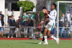 3. Liga; Testspiel; FC Ingolstadt 04 - Borussia Mönchengladbach;  Ryan Malone (16, FCI)