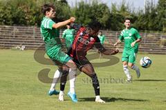 Bayernliga Nord - Saison 2024/25 - FC Ingolstadt 04 II - SV Fortuna Regensburg - Said Souleymane (Nr.17 - FCI U21) - Zöllner Tobias grün Regensburg - Foto: Meyer Jürgen