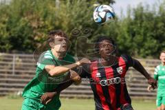 Bayernliga Nord - Saison 2024/25 - FC Ingolstadt 04 II - SV Fortuna Regensburg - Said Souleymane (Nr.17 - FCI U21) - Zöllner Tobias grün Regensburg - Foto: Meyer Jürgen