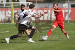 Bayernliga Nord - Saison 2023/2024 - FC Ingolstadt 04 - FC Coburg - Fabio Riedl rot FCI - Sebastian Zillig
 weiss Coburg - Foto: Meyer Jürgen