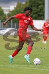 Bayernliga Nord - Saison 2023/2024 - FC Ingolstadt 04 - VFB Eichstätt - Michael Udebuluzor (Nr.24 - FCI U21) - Foto: Meyer Jürgen