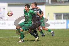 Landesliga - Saison 2024/25 - SV Manching - TSV Schwabmünchen - Stefan Müller (Nr.7 - SV Manching) - Uhde Maik #31 schwarz Schwabmünchen
 - Foto: Meyer Jürgen