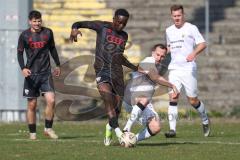 Bayernliga Nord - Saison 2025/26 - FC Ingolstadt 04 II - SpVgg Bayern Hof - Jason Osei Tutu (Nr.11 - FC Ingolstadt II) - Johannes Hamann weiss Bayern Hof  - Foto: Meyer Jürgen