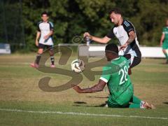Freundschaftsspiel - Saison 2026/27 - TSV Ober/.Unterhaunstadt - FC Gerolfing  - Nikola Kamenjasevic grau Ober./Unterh.stadt  - Mamadou Diallo (Nr.28 - FC Gerolfing) - Foto: Meyer Jürgen