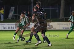 Landesliga - Saison 2025/26 - SV Manching - SSV Niedersonthofen - Sebastian Graßl (Nr.10 - SV Manching) - XXXXX - Foto: Meyer Jürgen