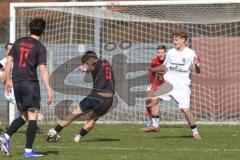 Bayernliga Nord - Saison 2025/26 - FC Ingolstadt 04 II - SpVgg Bayern Hof - Timo Hengmith  (Nr.6 - FC Ingolstadt II) schiesst den 1:0 Führungstreffer - Laurenz Skrabalek weiss Bayern Hof  - David Guyon TW Bayern Hof - jubel  - Foto: Meyer Jürgen