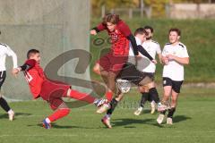 Kreisklasse - Saison 2024/25- SV Zuchering - FC Wackerstein/Dünzing - Philip Delanowski rot Zuchering - Jonas Lechner weiss Wackerstein - Ahmed Metinov rot links Zuchering - Foto: Meyer Jürgen