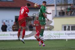 Landesliga - Saison 2024/25 - SV Manching - FSV Pfaffenhofen - Fabian Neumayer (Nr.9 - SV Manching) - Völke Maximilian rot Pfaffenhofen - Foto: Meyer Jürgen