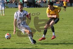 Kreisliga - Saison 2025/26- TSV Lichtenau - TSV Hohenwart - Marc Steingräber gelb Lichtenau mit dem 1:1 Ausgleichstreffer - jubel - Daniel Liebhardt weiss Hohenwart - XXXXX - Foto: Meyer Jürgen