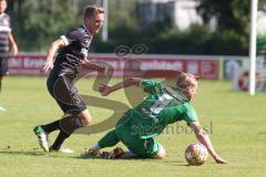 Landesliga - Saison 2024/25 - SV Manching - TSV Schwabmünchen - Rainer Meisinger (Nr.8 - SV Manching) - Uhde Maik #31 schwarz Schwabmünchen
 - Foto: Meyer Jürgen