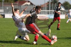 Kreisklasse - Saison 2024/25- TSV Gaimersheim II - SV Buxheim-  - Franz Reinwald schwarz Gaimersheim - Hannes Brems weiss Buxheim - Foto: Meyer Jürgen