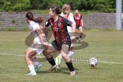 2. Bundesliga Frauen - Saison 2025/26 - FC Ingolstadt 04 Frauen - FCB München II - Katharina Reikersdorfer (Nr.20 - FC Ingolstadt Frauen I) - Rintzner Paula rot FCB  - Foto: Meyer Jürgen
