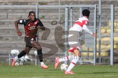 A-Junioren Bundesliga -  Saison 2026/27 - FC Ingolstadt 04 - VFB Stuttgart - Apemegno Blom rot FCI - Zarella Gabriel weiss Stuttgart -  Foto: Meyer Jürgen