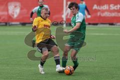 AUDI Amateuercup - Saison 2024/25 - TSV Lichtenau - FC Geisenfeld - Deniz Hadzic gelb Lichtenau  - Manuel Obermayr grün Geisenfeld - Foto: Meyer Jürgen