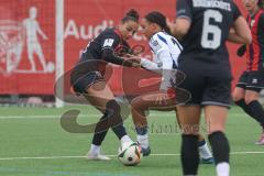 2. Bundesliga Frauen - Saison 2024/25 - FC Ingolstadt 04 Frauen - HSV - Katharina Krist (Nr.14 - FCI Frauen) - Baum Lisa weiss HSV - Foto: Meyer Jürgen