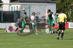 Bezirksliga - Saison 2024/25 - SV Manching - TSV Jetzendorf -Der 3:3 Ausgleichstreffer durch Marcel Posselt (Nr.19 - SV Manching) - jubel -  Josef Strohmeier Torwart Jetzendorf - XXXXX - Foto: Meyer Jürgen